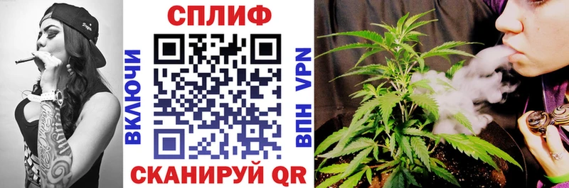 Виды наркотиков купить Михайловск Бошки Шишки Галлюциногенные грибы МЕФ COCAIN
