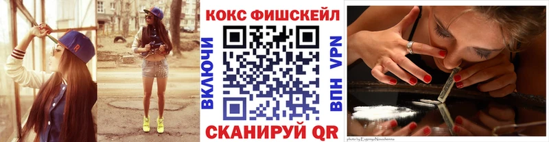 Кокаин FishScale  продажа наркотиков  Михайловск 