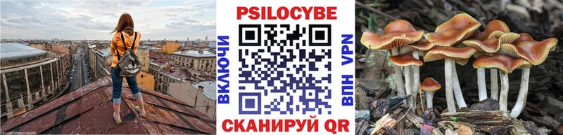 купить  цена  Михайловск  Галлюциногенные грибы прущие грибы 